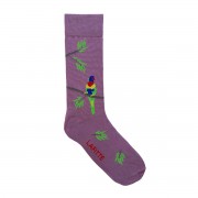 Socks | Rainbow Lorikeet | Grape